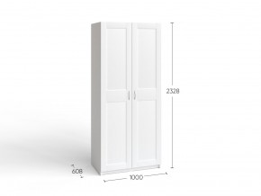 2.06.01.050.4 МАКС шкаф 2 двери 100х61х233 серый RU в Серове - serov.ok-mebel.com | фото 4