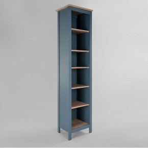 2.08.07.100.16 САГА стеллаж 50 темно-бирюзовый/ясень RU в Серове - serov.ok-mebel.com | фото