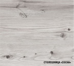 АСАЯ Кухонный гарнитур Экстра 2 (3000 мм) ПМ в Серове - serov.ok-mebel.com | фото 8