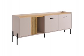 ДОМИНИКА Тумба 2 в Серове - serov.ok-mebel.com | фото