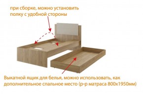 Дуглас (подростковая) М14 Кровать в Серове - serov.ok-mebel.com | фото 5