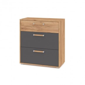 ФЛОРИДА Гостиная (модульная) дуб золотой/графит в Серове - serov.ok-mebel.com | фото 8