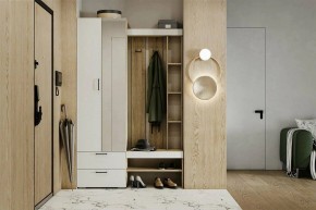 Гарнитур для прихожей Торонто в Серове - serov.ok-mebel.com | фото 5