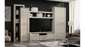 ЭЛИС Гостиная в Серове - serov.ok-mebel.com | фото 2