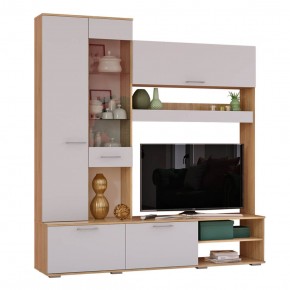 Гостиная Флай (ЦС-01/ШК-04) дуб сонома/белый в Серове - serov.ok-mebel.com | фото 3
