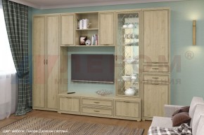 Гостиная Карина Композиция 21 (Гикори Джексон светлый) в Серове - serov.ok-mebel.com | фото 6