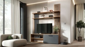 КАРОЛИНА Гостиная (дуб вотан/графит) в Серове - serov.ok-mebel.com | фото