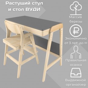 Комплект растущий стол и стул 38 попугаев «Вуди» (Серый, Без покрытия) в Серове - serov.ok-mebel.com | фото