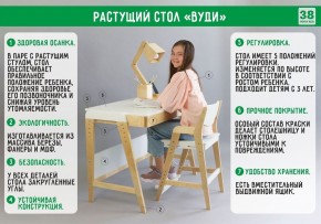 Комплект растущий стол и стул с чехлом 38 попугаев «Вуди» (Белый, Без покрытия, Салют) в Серове - serov.ok-mebel.com | фото 2