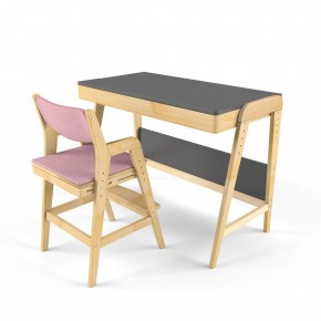 Комплект растущий стол и стул с чехлом 38 попугаев «Вуди» (Серый, Береза, Розовый) в Серове - serov.ok-mebel.com | фото