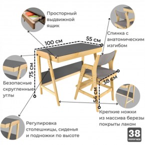 Комплект растущий стол и стул с чехлом 38 попугаев «Вуди» (Серый, Береза, Серый) в Серове - serov.ok-mebel.com | фото