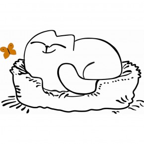 Кровать двухуровневая Кот № 900.1 ЛЕВАЯ (туя светлая/белый) в Серове - serov.ok-mebel.com | фото 2