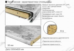 Кухонный фартук со столешницей (А-010) в едином стиле (3050 мм) в Серове - serov.ok-mebel.com | фото 7