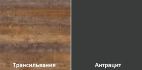 Кухонный гарнитур угловой Трансильвания 2600х1600 мм (Стол. 38 мм) в Серове - serov.ok-mebel.com | фото 3