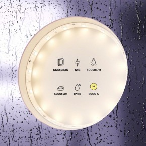 Лента светодиодная Maytoni Led strip 10105 в Серове - serov.ok-mebel.com | фото 2