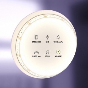 Лента светодиодная Maytoni Led strip 10109 в Серове - serov.ok-mebel.com | фото 2