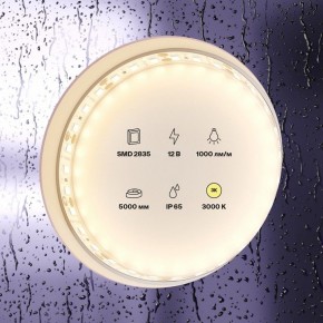Лента светодиодная Maytoni Led strip 10111 в Серове - serov.ok-mebel.com | фото 3