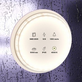 Лента светодиодная Maytoni Led strip 10118 в Серове - serov.ok-mebel.com | фото 2