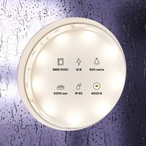 Лента светодиодная Maytoni Led strip 10124 в Серове - serov.ok-mebel.com | фото 3