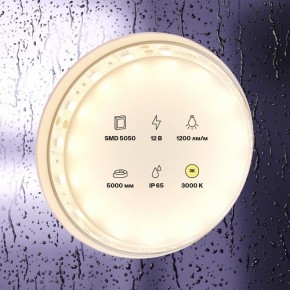 Лента светодиодная Maytoni Led strip 10131 в Серове - serov.ok-mebel.com | фото 2