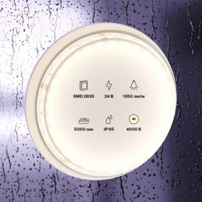 Лента светодиодная Maytoni Led strip 10152 в Серове - serov.ok-mebel.com | фото 2
