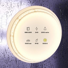 Лента светодиодная Maytoni Led strip 10157 в Серове - serov.ok-mebel.com | фото 2