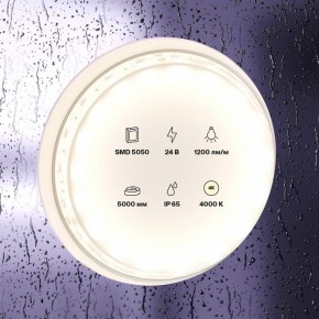Лента светодиодная Maytoni Led strip 10172 в Серове - serov.ok-mebel.com | фото 2