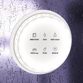 Лента светодиодная Maytoni Led strip 10173 в Серове - serov.ok-mebel.com | фото 2