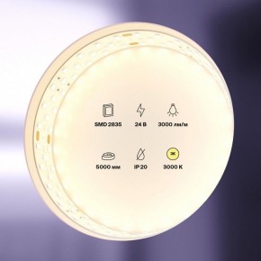 Лента светодиодная Maytoni Led strip 20031 в Серове - serov.ok-mebel.com | фото 2