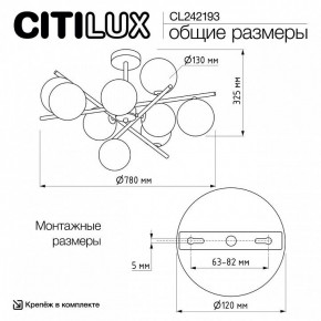 Люстра на штанге Citilux Ronny CL242193 в Серове - serov.ok-mebel.com | фото 8