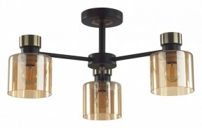 Люстра на штанге Lumion ARLIN 5643/3C в Серове - serov.ok-mebel.com | фото