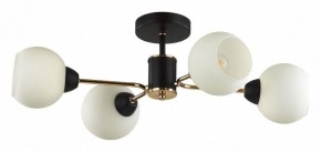 Люстра на штанге Lumion KODI 5646/4C в Серове - serov.ok-mebel.com | фото