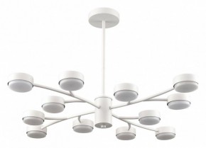 Люстра на штанге Lumion TORINA 8265/12 в Серове - serov.ok-mebel.com | фото