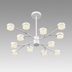 Люстра на штанге Lumion TORINA 8265/12 в Серове - serov.ok-mebel.com | фото 5