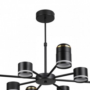 Люстра на штанге Lumion Virsava 8234/8C в Серове - serov.ok-mebel.com | фото 5