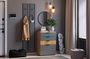 МЕБЕЛЬСОН К21 Прихожая  (графит) в Серове - serov.ok-mebel.com | фото