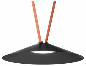 Накладной светильник Denkirs Belty Flow DK5568-BK в Серове - serov.ok-mebel.com | фото 2