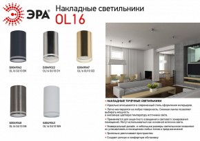 Накладной светильник Эра OL16 GU10 CH Б0049022 в Серове - serov.ok-mebel.com | фото 5