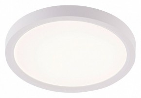 Накладной светильник Natali Kovaltseva PLAIN LED LAMPS 81113/1C в Серове - serov.ok-mebel.com | фото