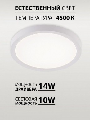 Накладной светильник Natali Kovaltseva PLAIN LED LAMPS 81113/1C в Серове - serov.ok-mebel.com | фото 4