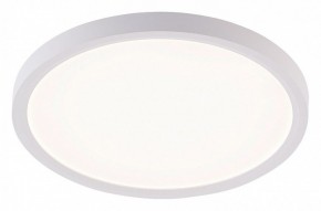 Накладной светильник Natali Kovaltseva PLAIN LED LAMPS 81113/2C в Серове - serov.ok-mebel.com | фото