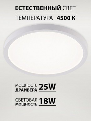 Накладной светильник Natali Kovaltseva PLAIN LED LAMPS 81113/2C в Серове - serov.ok-mebel.com | фото 3