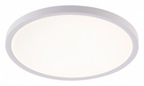 Накладной светильник Natali Kovaltseva PLAIN LED LAMPS 81113/3C в Серове - serov.ok-mebel.com | фото