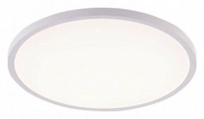 Накладной светильник Natali Kovaltseva PLAIN LED LAMPS 81113/5C в Серове - serov.ok-mebel.com | фото