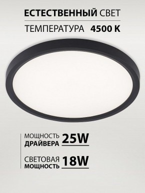 Накладной светильник Natali Kovaltseva PLAIN LED LAMPS 81114/2C в Серове - serov.ok-mebel.com | фото 3