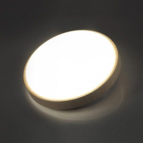 Накладной светильник Sonex Losta 7607/AL в Серове - serov.ok-mebel.com | фото 3