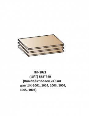 ПЛ-1021 (Комплект полок из 3 шт для ШК-1001, 1002, 1003, 1004, 1005, 1007) в Серове - serov.ok-mebel.com | фото