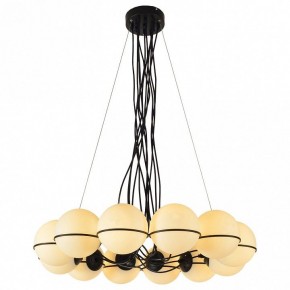 Подвесная люстра Lussole Seneca LSP-8177 в Серове - serov.ok-mebel.com | фото