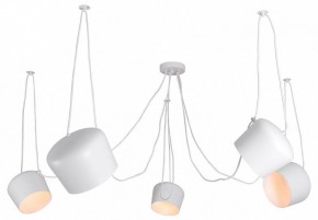 Подвесная люстра Lussole Shirley LSP-8175 в Серове - serov.ok-mebel.com | фото