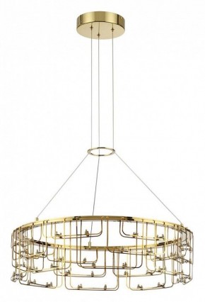 Подвесная люстра Odeon Light ZAHA 7060/44L в Серове - serov.ok-mebel.com | фото 2